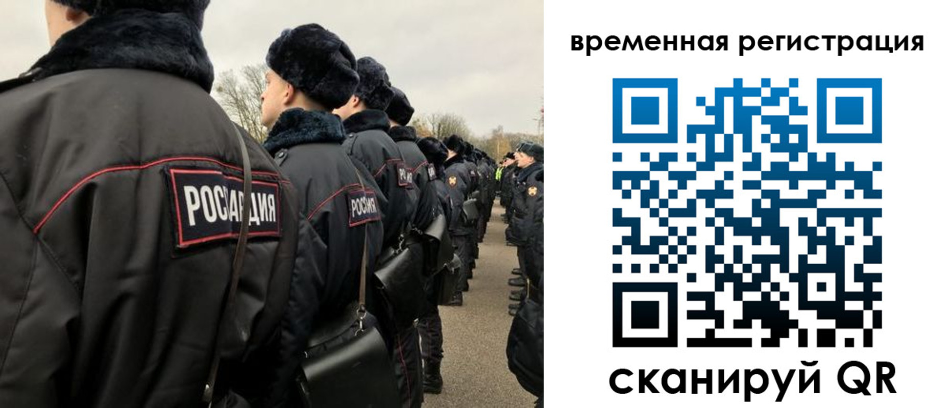 прописка гарантия в Благовещенске